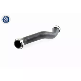 Gaine de suralimentation VAICO V10-2916