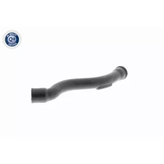 Tuyau, ventilation de carter-moteur VAICO V10-2938