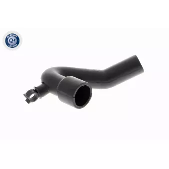 Tuyau, ventilation de carter-moteur VAICO V10-2944