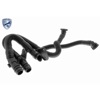 Tuyau, ventilation de carter-moteur VAICO V10-3503