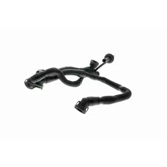Tuyau, ventilation de carter-moteur VAICO V10-3505
