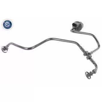 Flexible, alimentation en air VAICO V10-3581