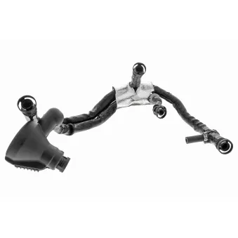 Tuyau, ventilation de carter-moteur VAICO V10-3695