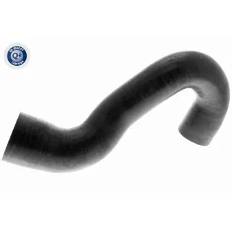 Gaine de suralimentation VAICO V10-3784