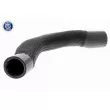 Gaine de suralimentation VAICO V10-3795 - Visuel 1