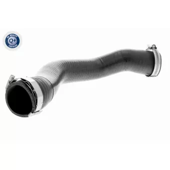 Gaine de suralimentation VAICO V10-3796