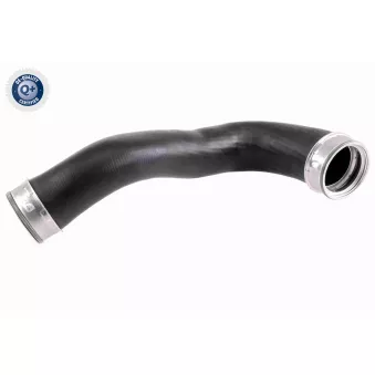 Gaine de suralimentation VAICO V10-3818