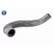 Gaine de suralimentation VAICO V10-3833 - Visuel 1
