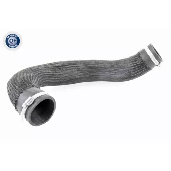 Gaine de suralimentation VAICO V10-3834