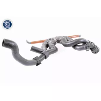 Durite de radiateur VAICO V10-3910