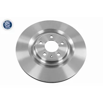 Jeu de 2 disques de frein arrière VAICO V10-40093