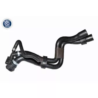 Durite de radiateur VAICO V10-4053
