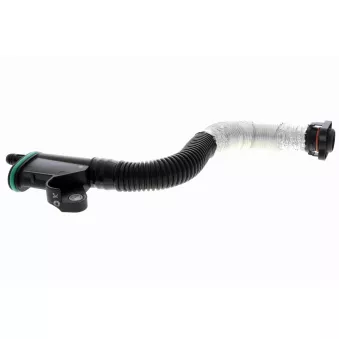 Tuyau, ventilation de carter-moteur VAICO V10-4854