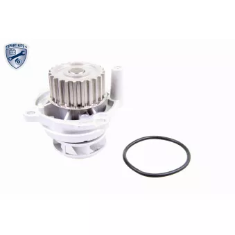 Pompe à eau VAICO V10-50011