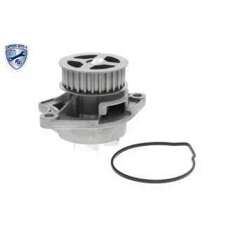 Pompe à eau VAICO V10-50036