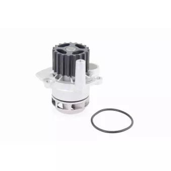 Pompe à eau VAICO V10-50060