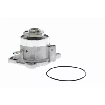 Pompe à eau VAICO V10-50081