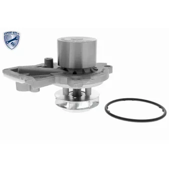 Pompe à eau VAICO V10-50103