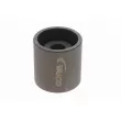 Pompe à eau + kit de courroie de distribution VAICO V10-50107-BEK - Visuel 3