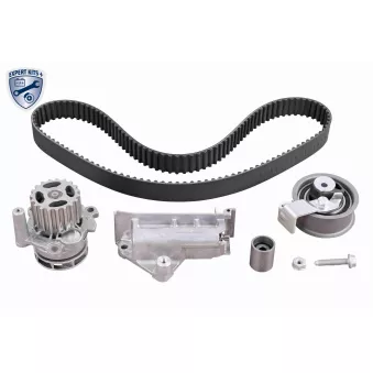 Pompe à eau + kit de courroie de distribution VAICO V10-50110-BEK