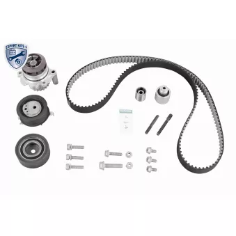 Pompe à eau + kit de courroie de distribution VAICO V10-50112-BEK