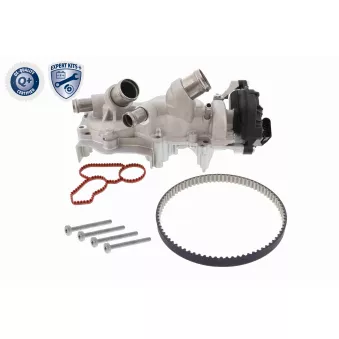 Pompe à eau + kit de courroie de distribution VAICO V10-50114