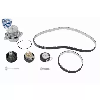 Pompe à eau + kit de courroie de distribution VAICO V10-50114-BEK