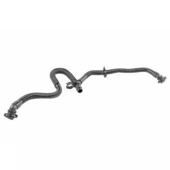 Tuyau, ventilation de carter-moteur VAICO V10-5455