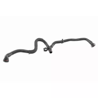 Tuyau, ventilation de carter-moteur VAICO V10-5456