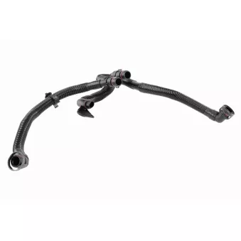 Tuyau, ventilation de carter-moteur VAICO V10-5458