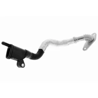 Tuyau, ventilation de carter-moteur VAICO V10-5459
