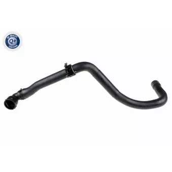 Durite de radiateur VAICO V10-5538