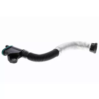 Tuyau, ventilation de carter-moteur VAICO V10-5579