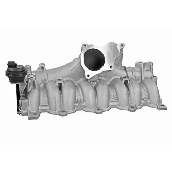 Module de tube d'admission VAICO V10-6641