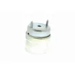 Support moteur avant droit VAICO V10-8208 - Visuel 1