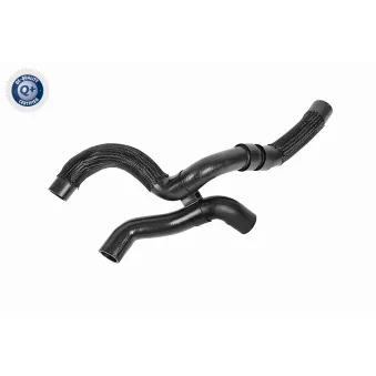 Durite de radiateur VAICO V10-8880