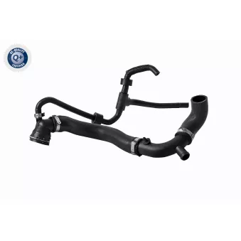 Durite de radiateur VAICO V10-8882
