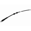 Flexible de frein VAICO V20-0428 - Visuel 1
