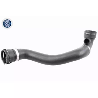 Durite de radiateur VAICO V20-0869