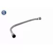 Durite de radiateur VAICO V20-0892 - Visuel 1