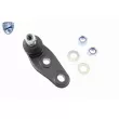Rotule de suspension avant gauche VAICO V20-0973 - Visuel 1