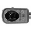 Vérin, capot-moteur VAICO V20-0988 - Visuel 2