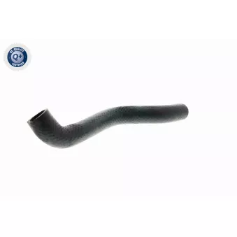 Durite de radiateur VAICO V20-1238