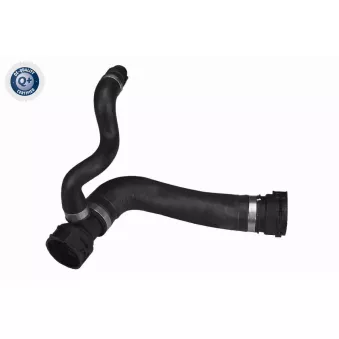 Durite de radiateur VAICO V20-1289