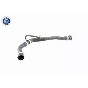 Durite de radiateur VAICO V20-1316