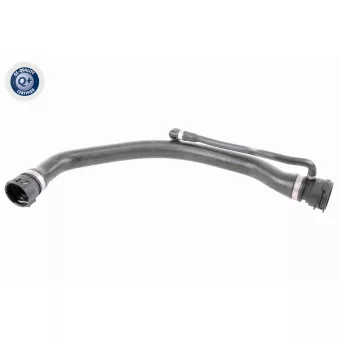 Durite de radiateur VAICO V20-1317