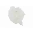 Vase d'expansion, liquide de refroidissement VAICO V20-1569 - Visuel 1