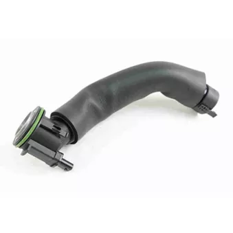 Tuyau, ventilation de carter-moteur VAICO V20-2245