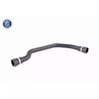 Durite de radiateur VAICO V20-2399