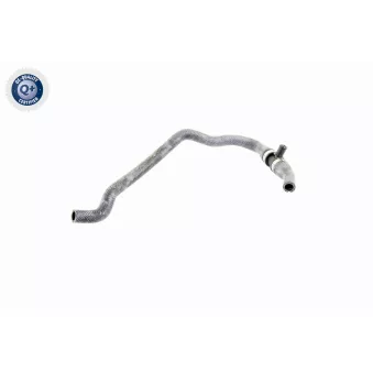 Durite de radiateur VAICO V20-2413